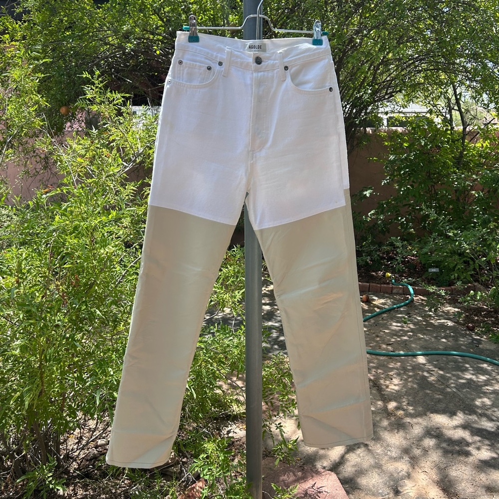 Agolde Recycled Leather 90s Pinch Waist Jeans - like size 28